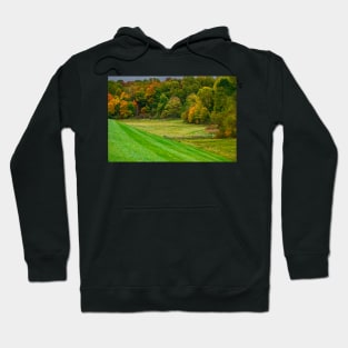 autumn in the trail park Hoodie